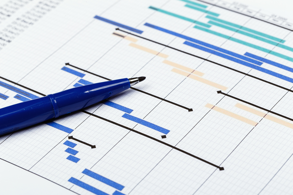 Project Management Scheduling