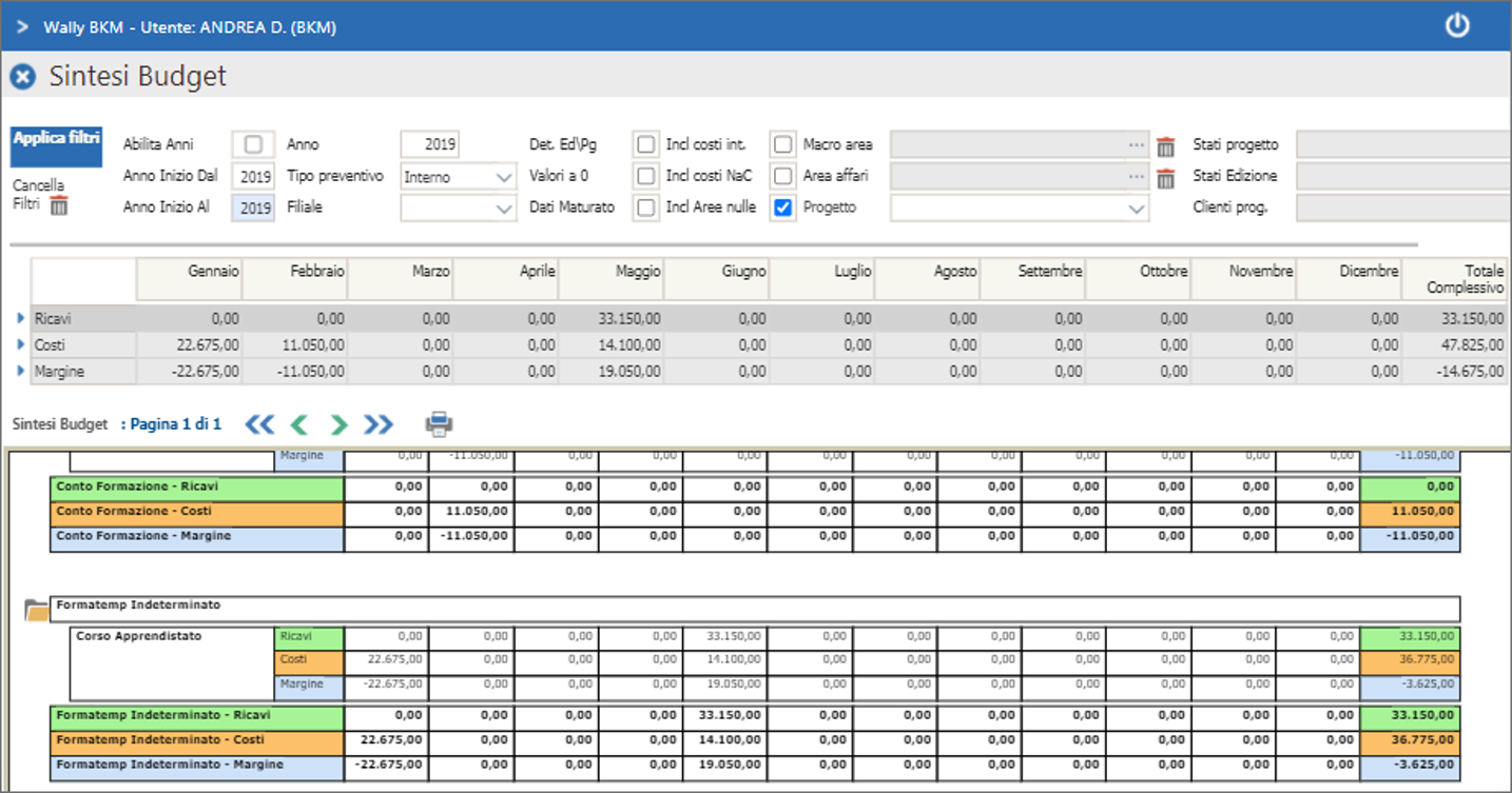 Report e analisi di budget formazione