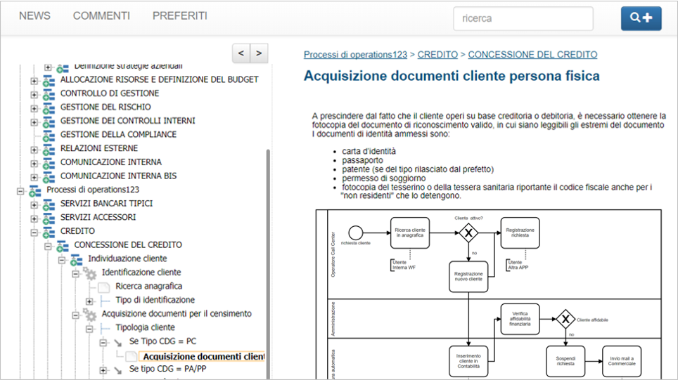 pubblicazione procedure di processo